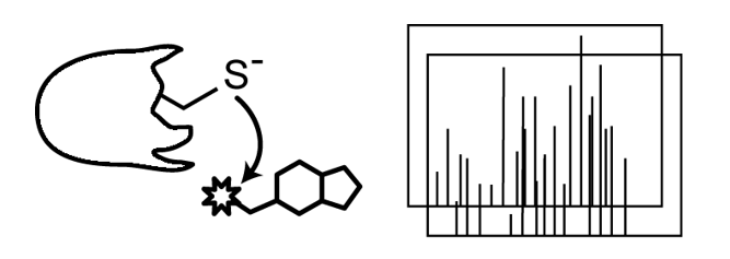Chemoproteomic approaches to characterize electrophile- and redox-induced cellular stress 
