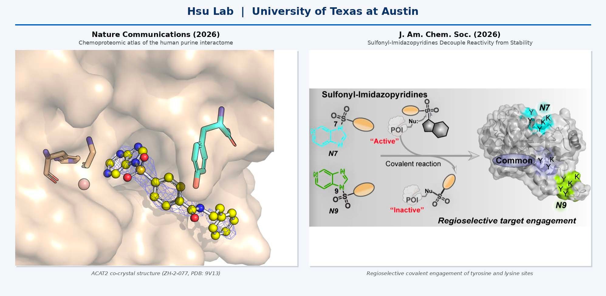 Hsu Lab