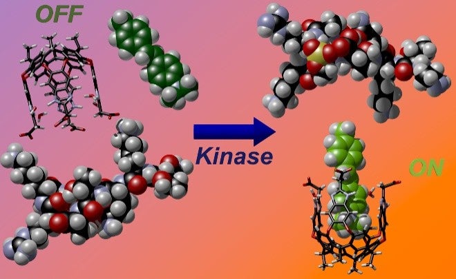Molecular Recognition of Everything*