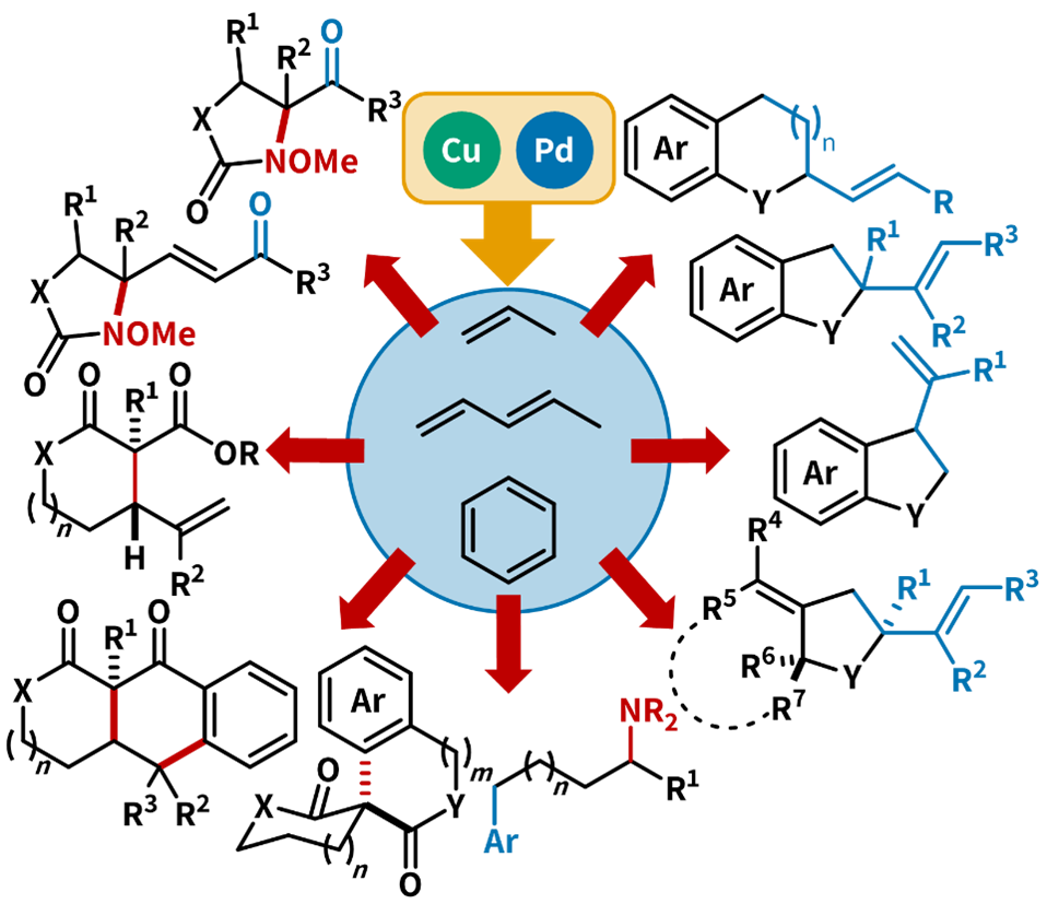 Catalytic strategies for the selective construction of sp3-rich organic scaffolds