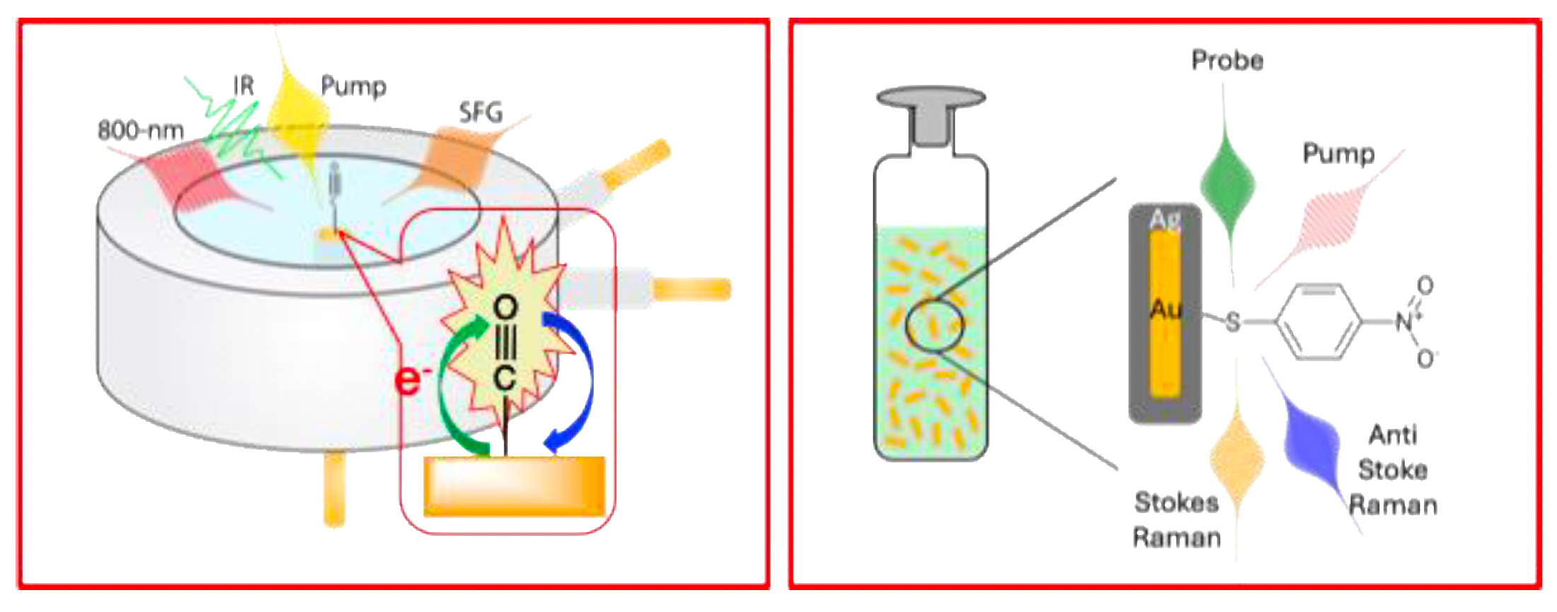 Ultrafast Hot Electron Induced Adsorbate Vibrational Dynamics on Metal Nanoparticles and Electrodes